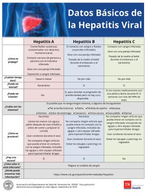 Viral Hepatitis Fast Facts_Spanish